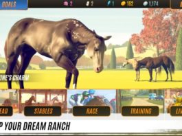 rival stars horse racing horse colors chart