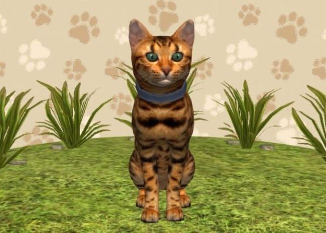 Cat Simulator 2020: All Cats in the Game & How to Get Them - Touch, Tap ...