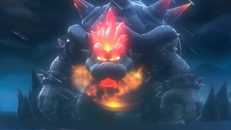 bowser's fury website