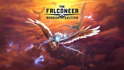 the falconeer switch review