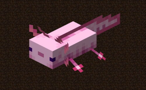 How to Tame Axolotls in Minecraft - Touch, Tap, Play