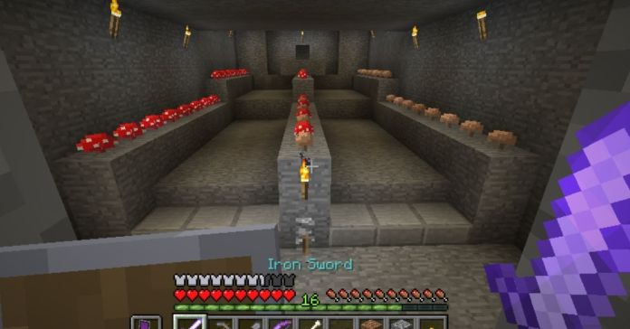 How to Grow Mushrooms in Minecraft