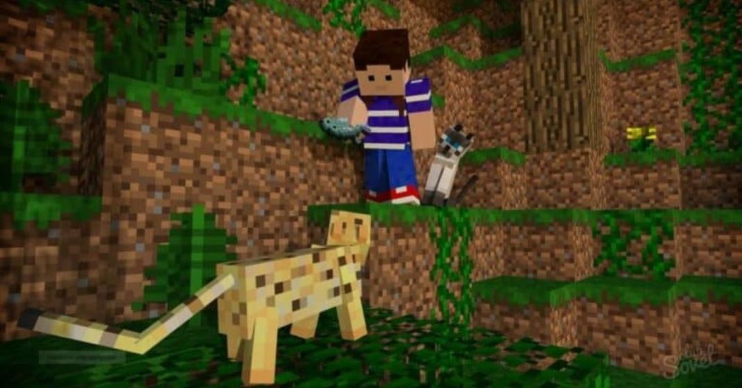 What Do Cats Eat in Minecraft? Answered Touch, Tap, Play