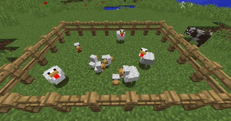 How to Breed Chickens in Minecraft - Touch, Tap, Play