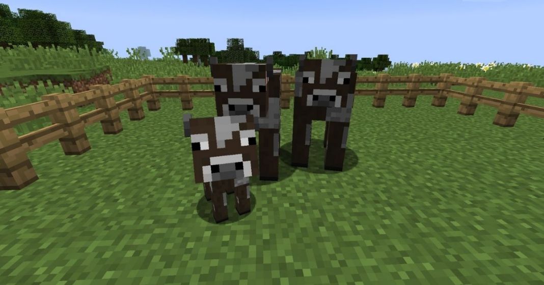 How to Breed Cows in Minecraft - Touch, Tap, Play