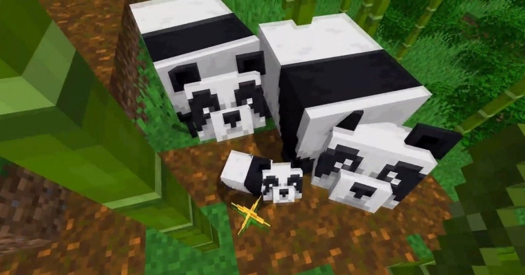 how-to-breed-pandas-in-minecraft-touch-tap-play