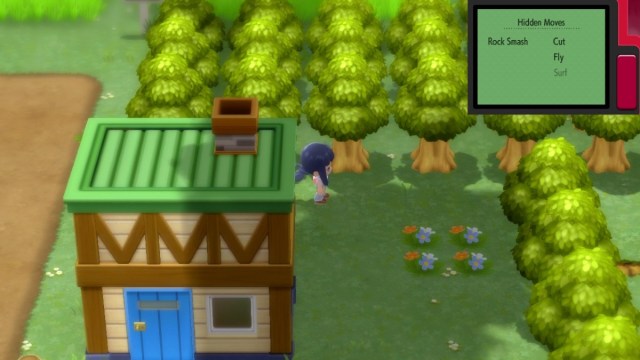 the trainer standing next to a green roofed house in pokemon brilliant diamond