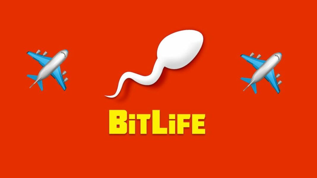 All Pilot Test Answers in Bitlife: Tips and Cheats - Touch, Tap, Play