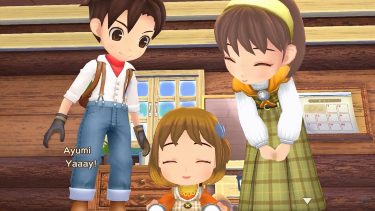 story of seasons a wonderful life marriage candidates