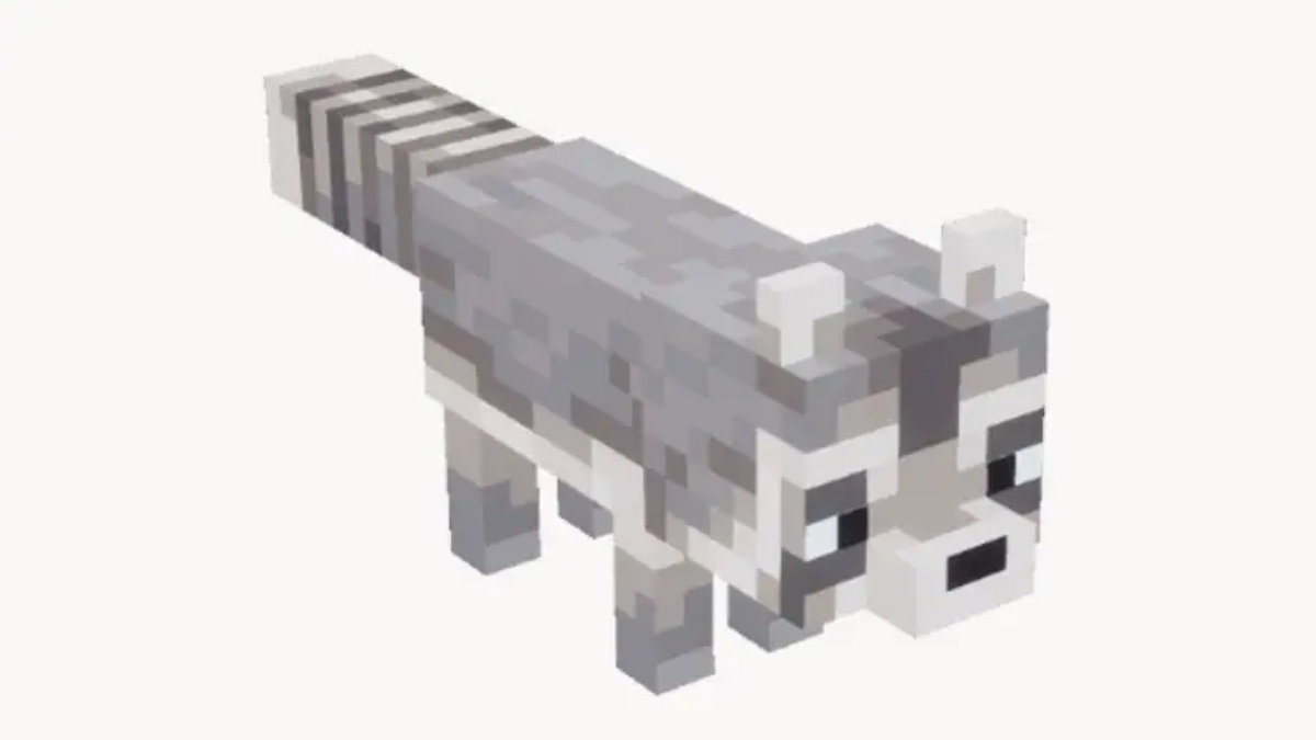 Raccoon from Minecraft.