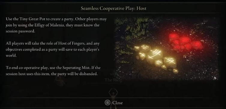How To Play Seamless Co-Op In Elden Ring - Seamless Co-Op Mod Download ...