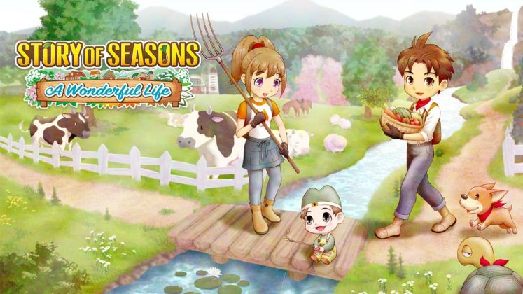 All Bachelor And Bachelorettes In Story Of Seasons: A Wonderful Life 